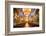 La Iglesia De La Compania De Jesus, City of Quito, Ecuador, South America-Matthew Williams-Ellis-Framed Photographic Print