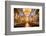 La Iglesia De La Compania De Jesus, City of Quito, Ecuador, South America-Matthew Williams-Ellis-Framed Photographic Print