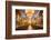 La Iglesia De La Compania De Jesus, City of Quito, Ecuador, South America-Matthew Williams-Ellis-Framed Photographic Print