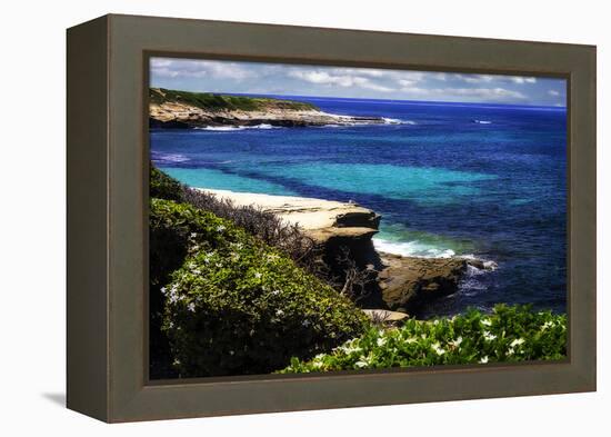 La Jolla Beach III-Alan Hausenflock-Framed Premier Image Canvas