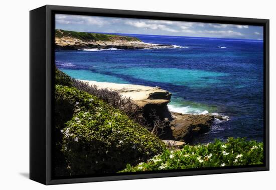 La Jolla Beach III-Alan Hausenflock-Framed Premier Image Canvas