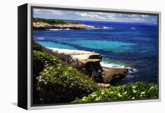 La Jolla Beach III-Alan Hausenflock-Framed Premier Image Canvas