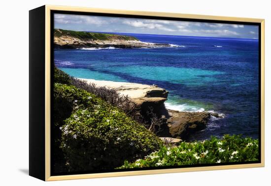La Jolla Beach III-Alan Hausenflock-Framed Premier Image Canvas