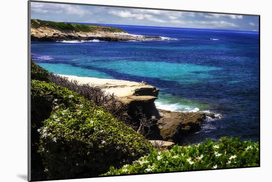 La Jolla Beach III-Alan Hausenflock-Mounted Photographic Print