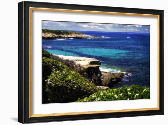 La Jolla Beach III-Alan Hausenflock-Framed Photographic Print