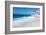 La Jolla Beach Shore San Diego-null-Framed Art Print