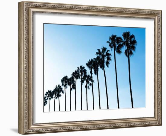 La Jolla Palms-Jenny Kraft-Framed Art Print