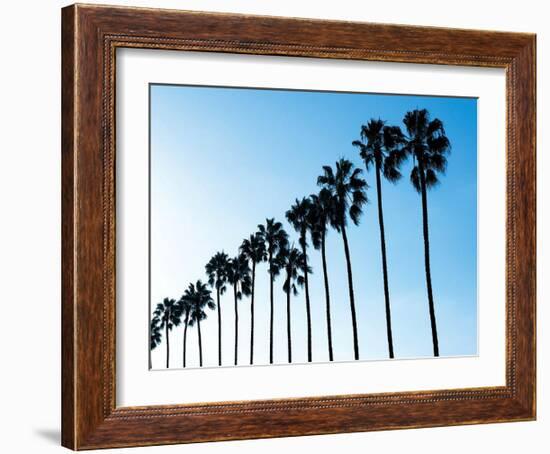 La Jolla Palms-Jenny Kraft-Framed Art Print