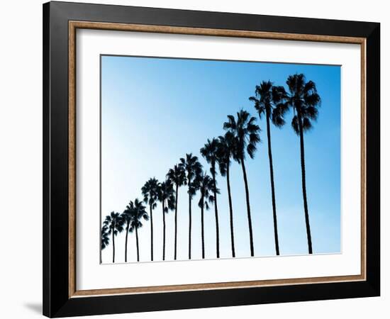 La Jolla Palms-Jenny Kraft-Framed Art Print