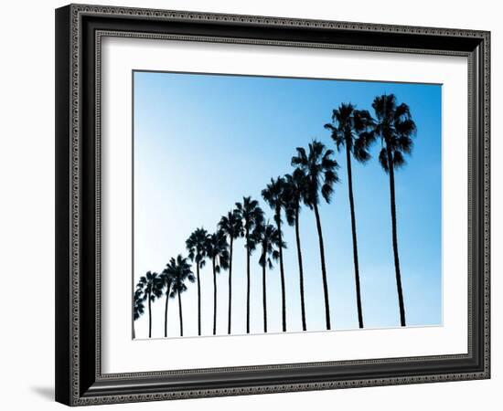 La Jolla Palms-Jenny Kraft-Framed Art Print