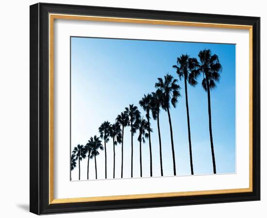 La Jolla Palms-Jenny Kraft-Framed Art Print