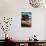 La Jolla Sea Lions I-Alan Hausenflock-Photo displayed on a wall