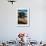 La Jolla Sea Lions I-Alan Hausenflock-Framed Photo displayed on a wall