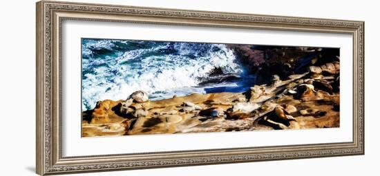 La Jolla Sea Lions II-Alan Hausenflock-Framed Photo