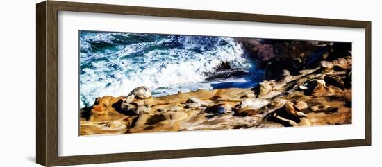 La Jolla Sea Lions II-Alan Hausenflock-Framed Photo