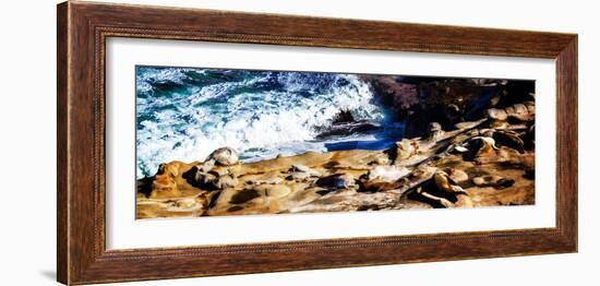 La Jolla Sea Lions II-Alan Hausenflock-Framed Photo