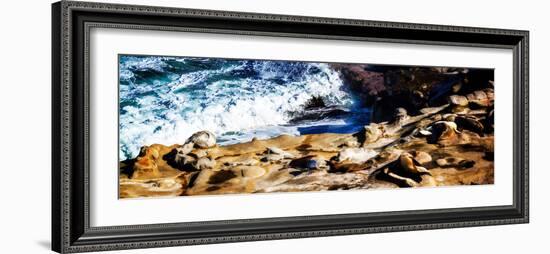 La Jolla Sea Lions II-Alan Hausenflock-Framed Photo