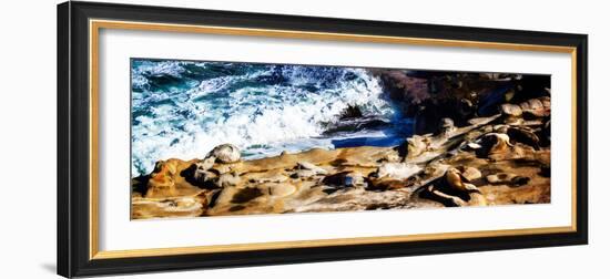 La Jolla Sea Lions II-Alan Hausenflock-Framed Photo