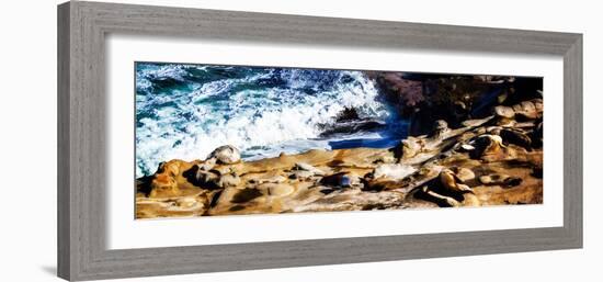 La Jolla Sea Lions II-Alan Hausenflock-Framed Photographic Print