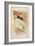 La Loge Au Mascaron Doré 1893-Henri de Toulouse-Lautrec-Framed Art Print