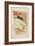 La Loge Au Mascaron Doré 1893-Henri de Toulouse-Lautrec-Framed Art Print