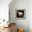 La Luna (The Moon) Remix-Gideon Ansell-Framed Photographic Print displayed on a wall