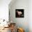 La Luna (The Moon) Remix-Gideon Ansell-Framed Premier Image Canvas displayed on a wall