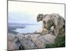 La Maddalena, Capo d'Orso, Costa Smeralda, Island of Sardinia, Italy, Mediterranean-Oliviero Olivieri-Mounted Photographic Print