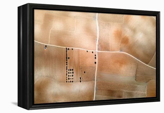 La Mancha, Spain, 2023 (Photo)-null-Framed Premier Image Canvas