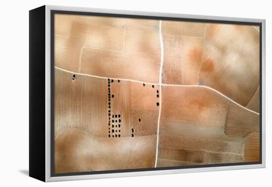 La Mancha, Spain, 2023 (Photo)-null-Framed Premier Image Canvas