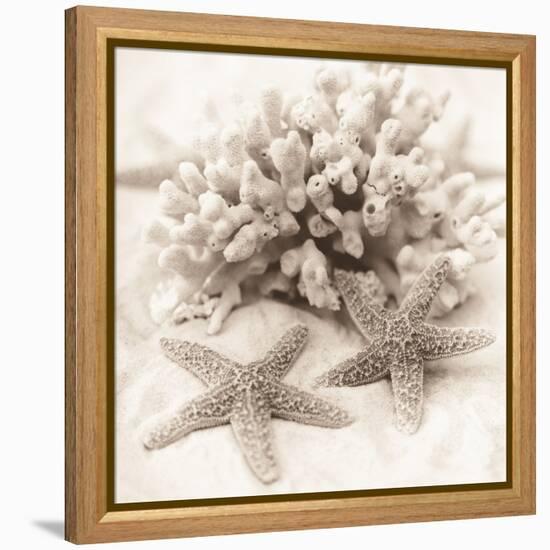 La Mer 1-Alan Blaustein-Framed Stretched Canvas