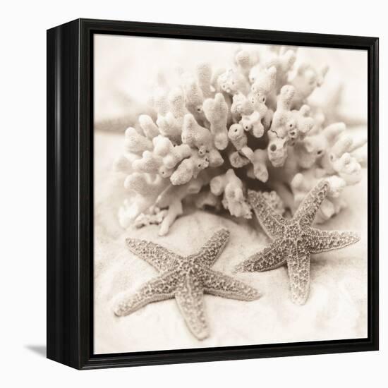 La Mer 1-Alan Blaustein-Framed Stretched Canvas