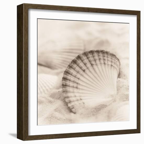 La Mer 3-Alan Blaustein-Framed Photographic Print