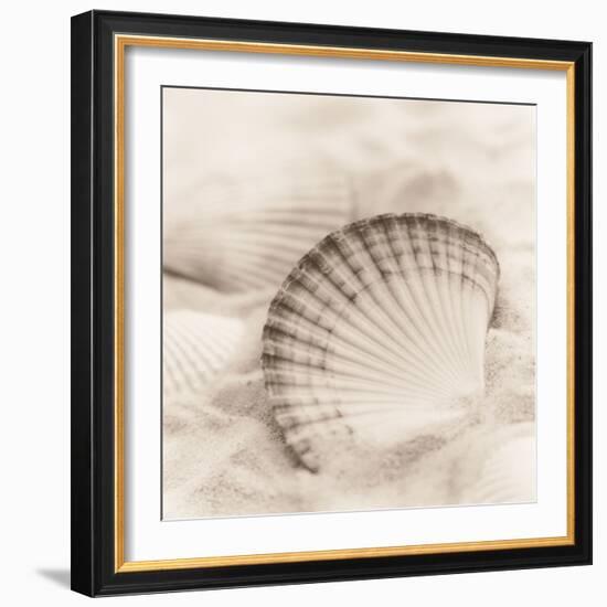 La Mer 3-Alan Blaustein-Framed Photographic Print