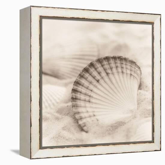 La Mer 3-Alan Blaustein-Framed Stretched Canvas