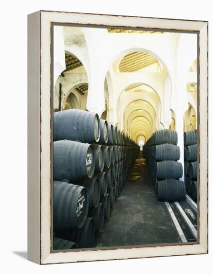 La Mezquita Winery (Jerez de la Frontera, Spain)-Hendrik Holler-Framed Premier Image Canvas