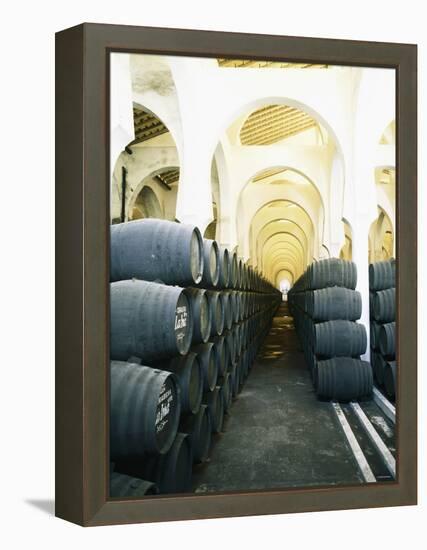 La Mezquita Winery (Jerez de la Frontera, Spain)-Hendrik Holler-Framed Premier Image Canvas