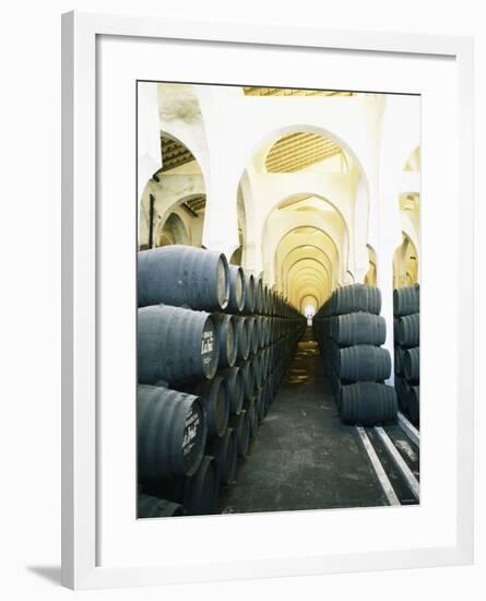 La Mezquita Winery (Jerez de la Frontera, Spain)-Hendrik Holler-Framed Photographic Print