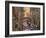 La Mimosa a Venezia-Guido Borelli-Framed Giclee Print