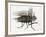 La mouche-Maurice Legendre-Framed Limited Edition