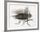 La mouche-Maurice Legendre-Framed Limited Edition