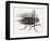 La mouche-Maurice Legendre-Framed Limited Edition