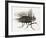 La mouche-Maurice Legendre-Framed Limited Edition