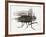 La mouche-Maurice Legendre-Framed Limited Edition