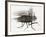 La mouche-Maurice Legendre-Framed Limited Edition