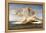 La Naissance de Vénus-Alexandre Cabanel-Framed Premier Image Canvas