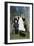 La Noce (The Wedding Party)-Henri Rousseau-Framed Giclee Print