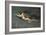 La Nuit-Auguste Raynaud-Framed Giclee Print