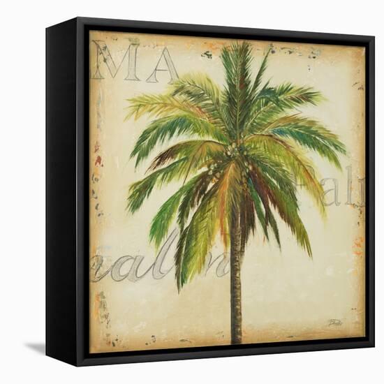 La Palma I-Patricia Pinto-Framed Stretched Canvas