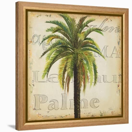 La Palma III-Patricia Pinto-Framed Stretched Canvas